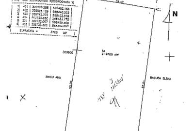 Vand teren Gorneni/Iepuresti/Giurgiu 3700 intravilan + 3400 extravilan - 6