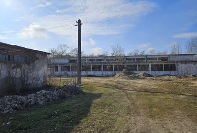 Vanzare amplasament industrial-servicii Tatarasti, Teleorman - 9