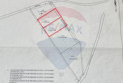 Teren extravilan Rasnov , Glajerie-Str Poiana velicanului, 1100mp - 9