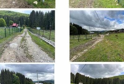 Teren intravilan - 5000 mp, Valea Doftanei - 3