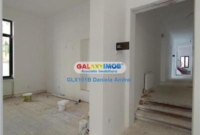 De inchiriat VILA  D+P+1E+M, TEREN 900 mp, parcare, ULTRACENTRAL - 27