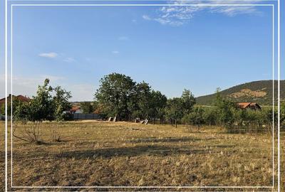 Opurtunitate si liniște Casa de vânzare la cheie Mocrea Jud. Arad - 31