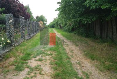 Teren Buftea cu iesire la lac - 1