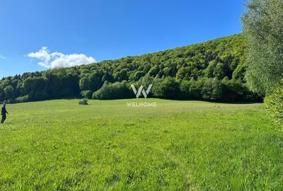 Teren Intravilan in Tocile-priveliste deosebita - Sadu - Sibiu - 1