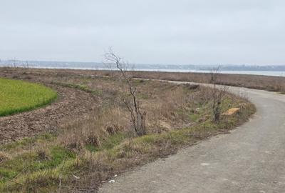 Teren de vanzare in Tuzla zona lac sarat Techirghiol - 3