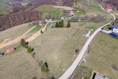 🌿 Teren Intravilan 3.791 mp | Priveliște Panoramică Superbă | Poiana Mărului - 24