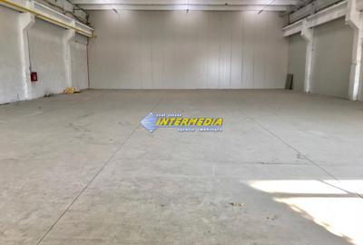 Hale Productie Depozitare Alba Su. de la 1725 mp. - 4000 mp. finisata complet - 4