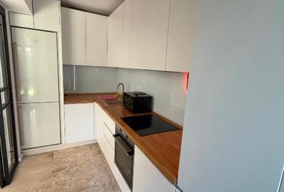 Vila premium - Matei Millo Pipera - 2