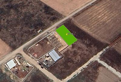 Lot 795 mp Soseaua Oltenitei-DN4 - 1