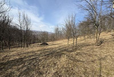 Teren intravilan 2788 mp deschidere 55 ml cu vedere panoramica ! - 6