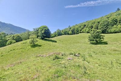 Teren intravilan superb Râșnov Glăjerie - 4