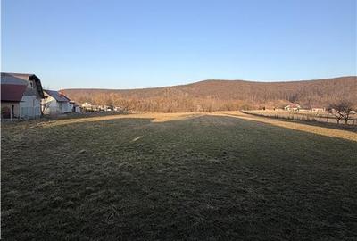 Vilă în Pătrăuți + 8400mp teren - 12