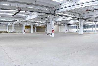 Spatiu Industrial - 4500 mp - Productie - Depozitare - Distributie - 3