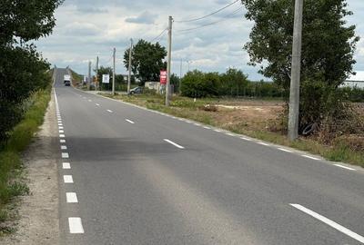 Teren intravilan 20.000 mp | DJ 602 la stradă | 55 ml deschidere | Ciorogârla - 4