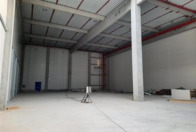 Spatiu Industrial - 5500 mp - Logistica - Productie - Depozitare - Distributie - 19
