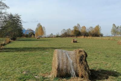 Teren in Sohodol-Bran - 2