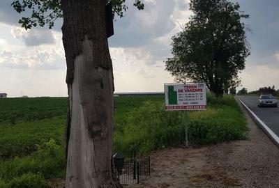 DN4-Bucuresti -Popesti Leordeni ,teren 80.000 mp, intravilan - 7