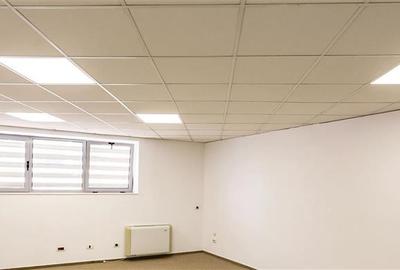 Spatii birouri in Iridex Business Center - de la 21 mp - 8