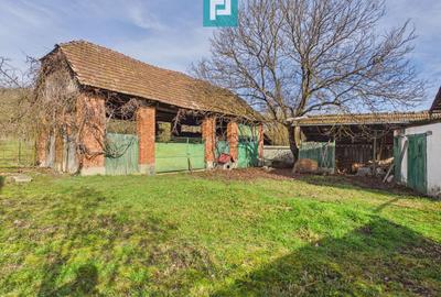 Casa din caramida si teren 1316 mp - Savarsin - 3