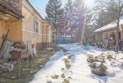 Teren de Vis în Tărlungeni cu Căsuță din Lemn – Liniștea Te Așteaptă - 6