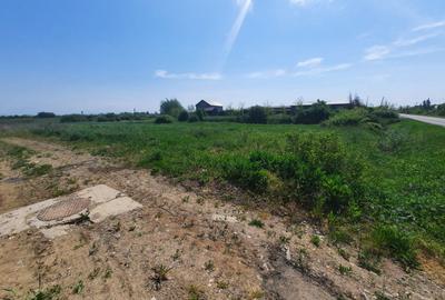 Teren intravilan la intrare în Vetiș – 12.216 mp - 4