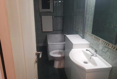 Aproape de Turist. Renovat. Mobilat si utilat. - 9