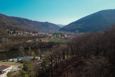 Teren - Caciulata - Deschidere la E81 - 5