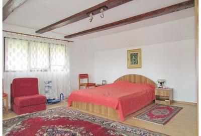 Casa deosebita cu gradina generoasa Vladeni - 14