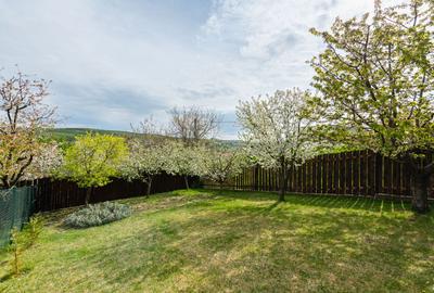 Casa cu materiale de calitate, 639 mp teren, zona deosebita, Borhanci - 24