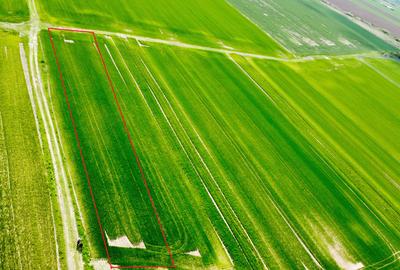 Teren Intravilan 1760mp | Caciulati - Moara Vlasiei | 14m deschidere - 1