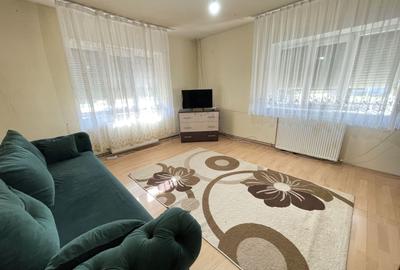 Casa de vanzare in Remetea Mare - 14