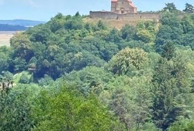VAND 1648 MP TEREN CU PUZ CISNADIOARA - 6
