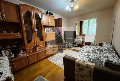 Apartament cu 2 camere semidecomandat în Mureșeni