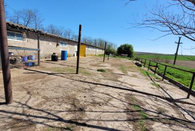 Teren Construcții intravilan de 10680 mp, în Pietreni