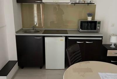 Apartament cu 1 cameră, zona Centru - Palas Mall - 5