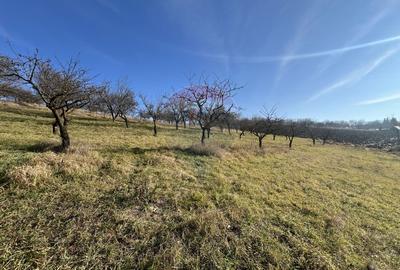 Teren intravilan, Bădeni, parcelabil - 1