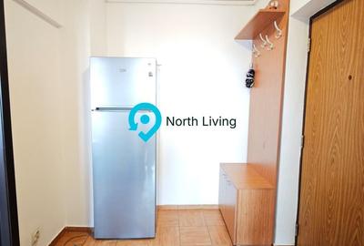 Apartament 3 camere, 68 mp, renovat, Câmpia Libertății - 14