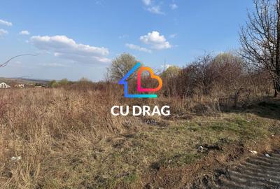 Teren intravilan cu toate utilitatile si drum amenajat Daia - 2