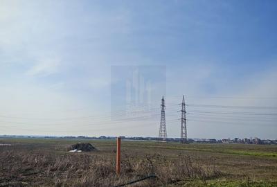 Teren de Vanzare  Caciulati Ilfov - 2