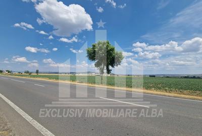 Teren agricol | La sosea | 9100 mp | 40 ml deschidere - 8