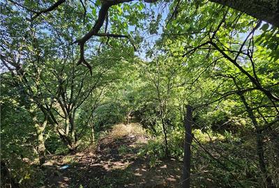 Casa la curte cu teren 646mp in Chiajna - 3