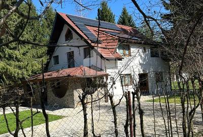 Pensiune/ Vila Valea Avrigului - 30