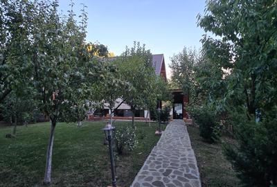 Moreni , Dambovita , vanzare proprietate -casa si teren - 23