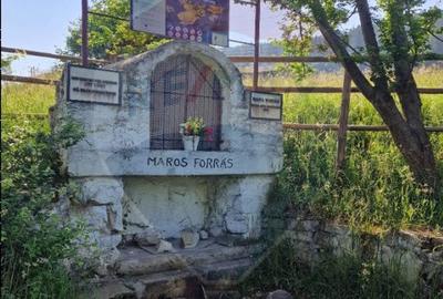 Vânzare teren extravilan, 4 ha pădure, zona turistică Liban, Harghita - 17