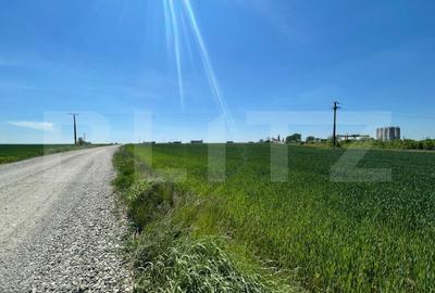 Teren Construcții intravilan de 25000 mp, în Nord-Est