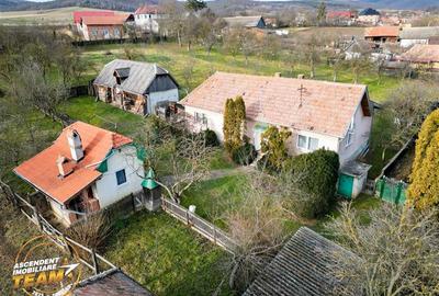 FILM! 5.000mp teren intravilan cu casuta rustica, Dalnic, Covasna - 28