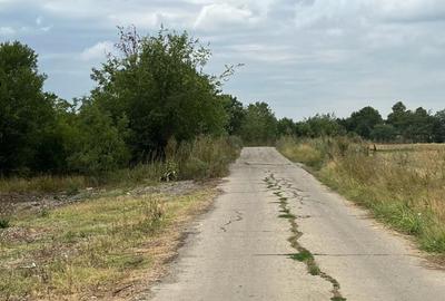 Pantelimon -Lebada- str.Olanesti(spre fabrica de Paine), 5000 mp. - 5