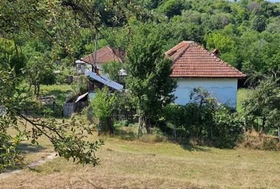 Casă cu teren 3800 mp,situată in com. Berislăvesti - 3