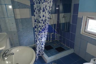 Casa P+M, 6 camere, teren 2.700, Nuci – Balta Neagra - 8