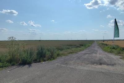 Teren de vanzare Calugareni Judetul Giurgiu - 3